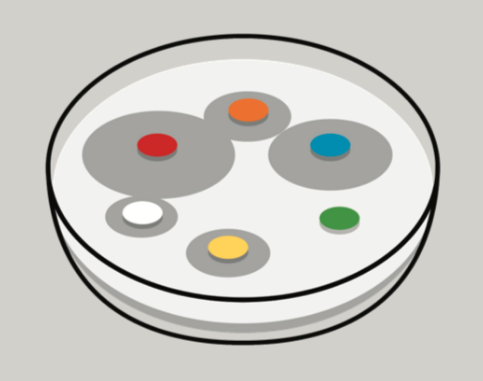 Inaugural REACH Network Independent Advisory Panel on AMR publishes its recommendations