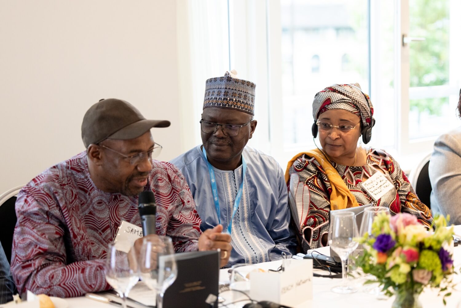 Professor Sow, Minister Hakimi of Niger, and Minister Touré of Mali